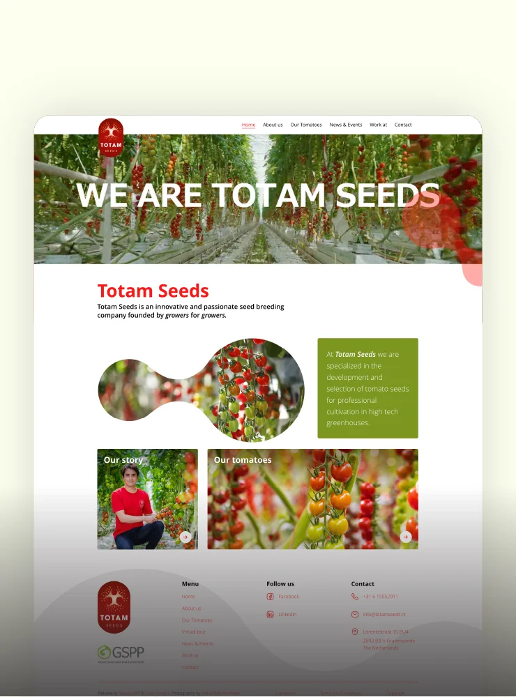 Totam Seeds