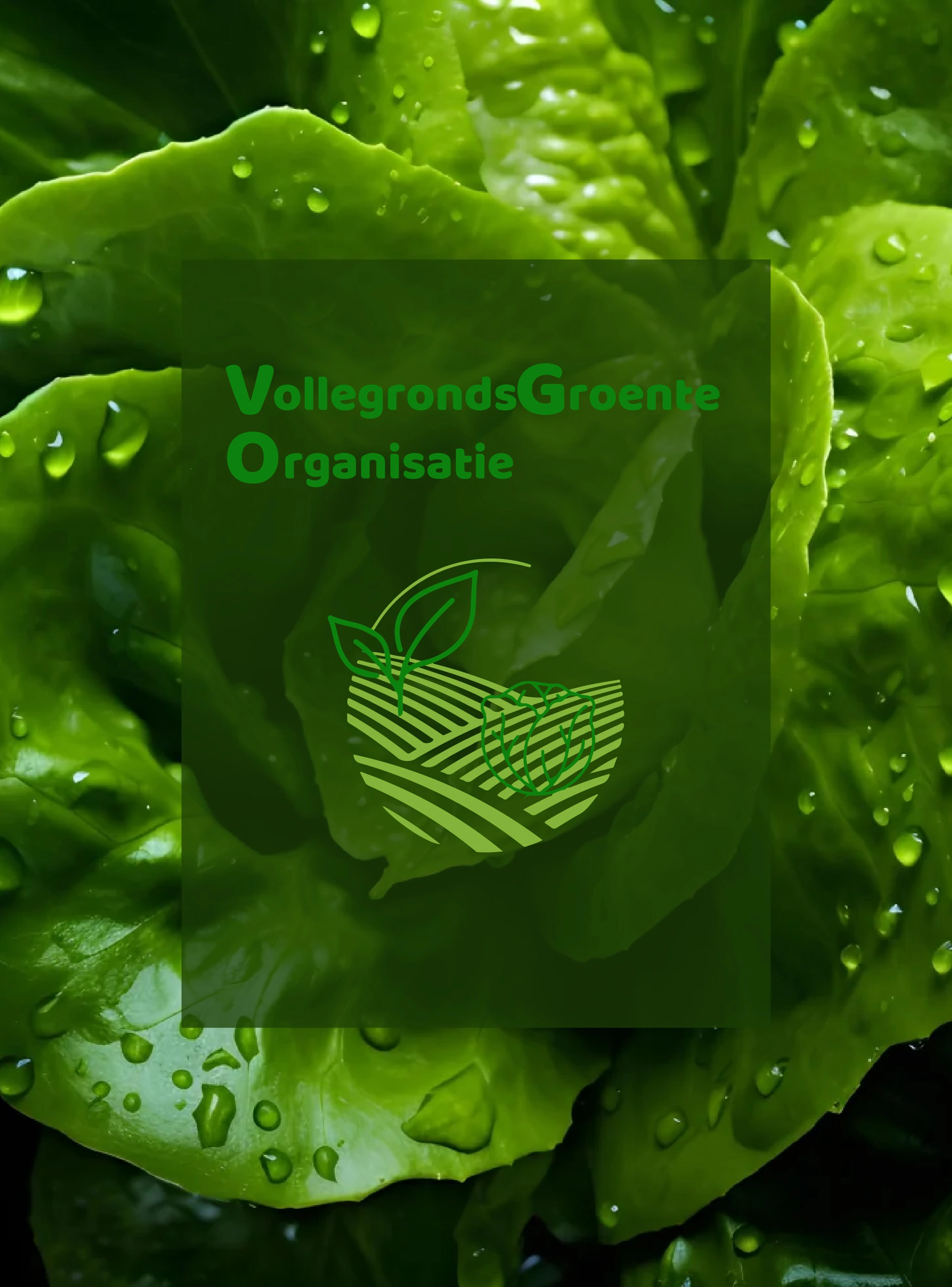 Stichting VGO