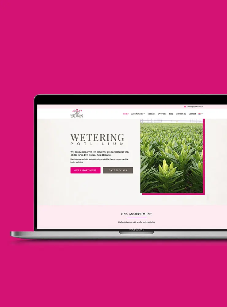 Wetering Potlilium